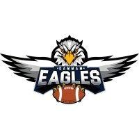 dammam eagles logo image