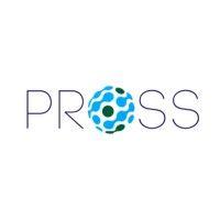 pross-global logo image