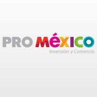 promexico logo image