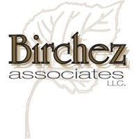 birchez associates llc logo image