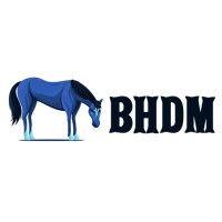 blue horse digital marketing, llc logo image