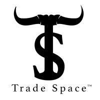 spacetrade logo image