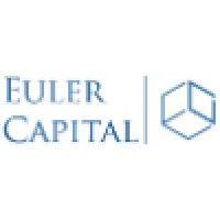 euler capital llc logo image