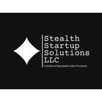 stealth startup solutions llc logo image