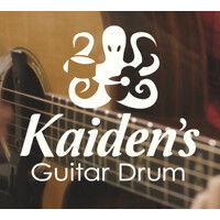 kaiden instruments logo image