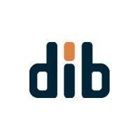 dibkunnskap logo image