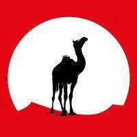 black camel pictures logo image