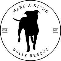 make a stand bully rescue logo image