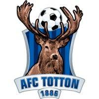 afc totton football club ltd logo image