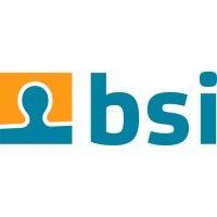 bsi logo image