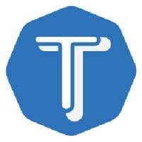 techtammina llc logo image