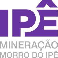 mineração morro do ipê s.a logo image