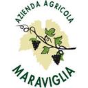 logo of Azienda Agricola Maraviglia