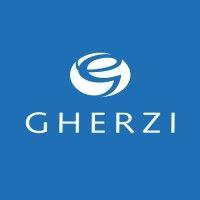 gherzi organisation