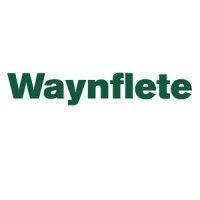 waynflete school