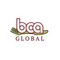 bcaglobal logo image