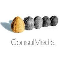 consulmedia logo image