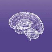 malnati brain tumor institute at northwestern logo image