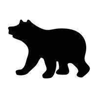 photobear logo image