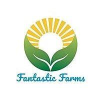 fantastic farms logo image