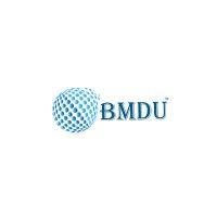 bm digital utilization logo image