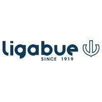 ligabue group logo image