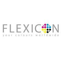 flexicon group logo image