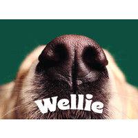 wellie logo image