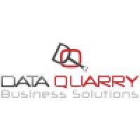 dataquarry business solutions, inc. logo image