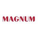 logo of Magnum As