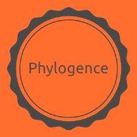 phylogence logo image