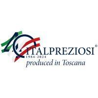 italpreziosi spa logo image