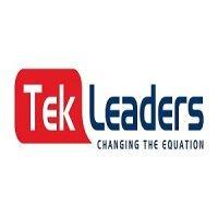 tek leaders it staffing logo image