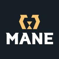 mane digital logo image