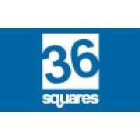 thirty six squares llc logo image