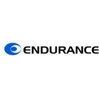 endurance overseas logo image