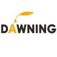 dawning logo image