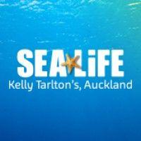 sea life kelly tarlton's aquarium