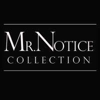 mr. notice collection, llc logo image