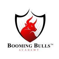 booming bulls academy™ logo image