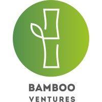 bamboo ventures bv logo image