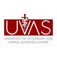 university of veterinary and animal sciences, pakistan logo image