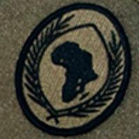 u.s. africa command (africom) logo image