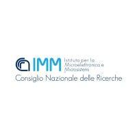 cnr-imm (istituto per la microelettronica e microsistemi) logo image