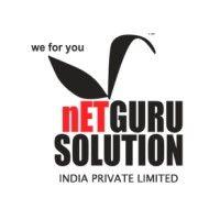 netguru solution india pvt. ltd.