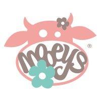 mooeys franchise ltd