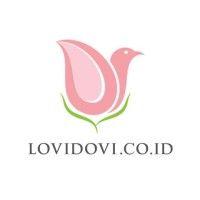 lovidovi.co.id logo image