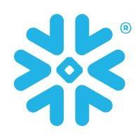 snowflake logo image