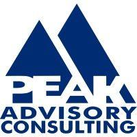 peak advisory consulting, llc