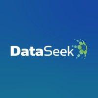 dataseek logo image